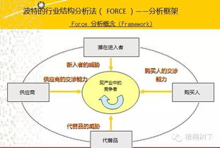 夏草财务分析深度解析 洞悉企业真实价值的必备指南